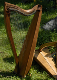 Harp on the grass